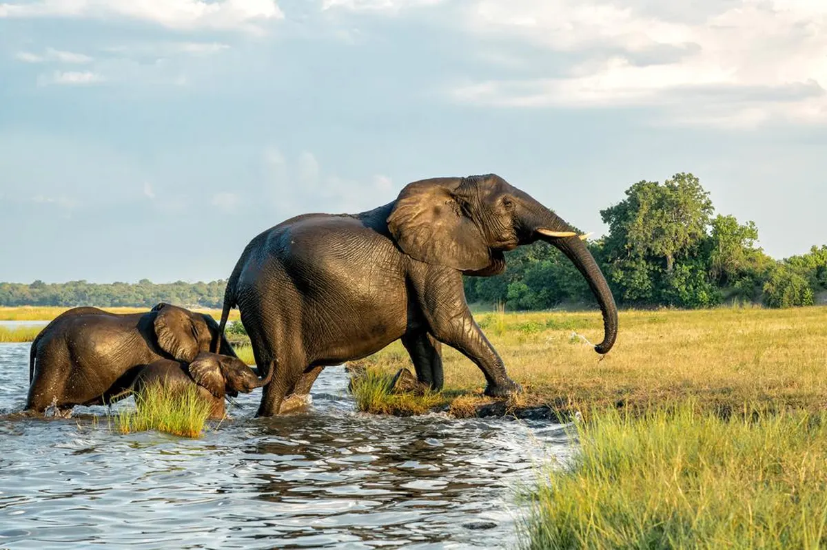 15-daagse rondreis Namibië, Botswana & Zimbabwe — hoofdfoto