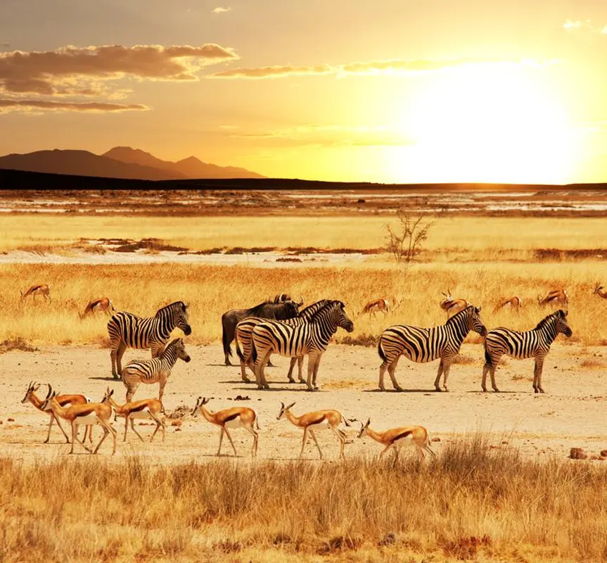 16-daagse rondreis Klassiek Namibië — hoofdfoto