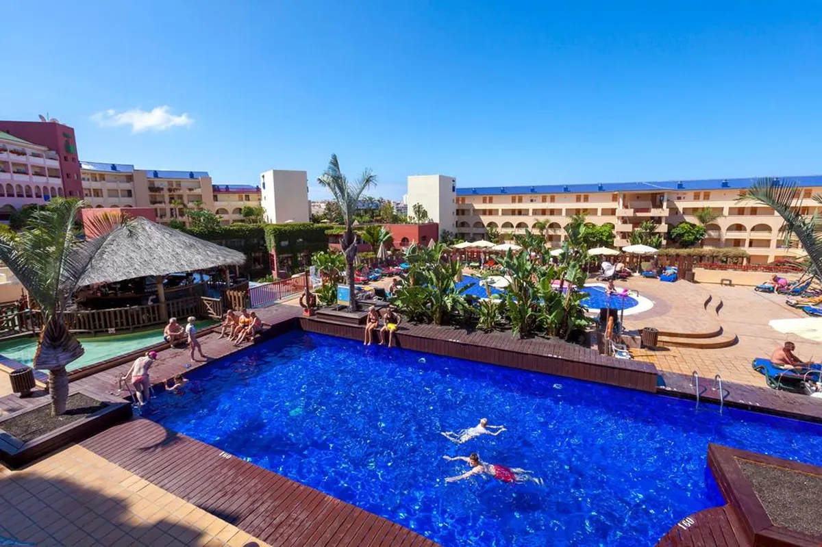 Best Jacaranda — hoofdfoto