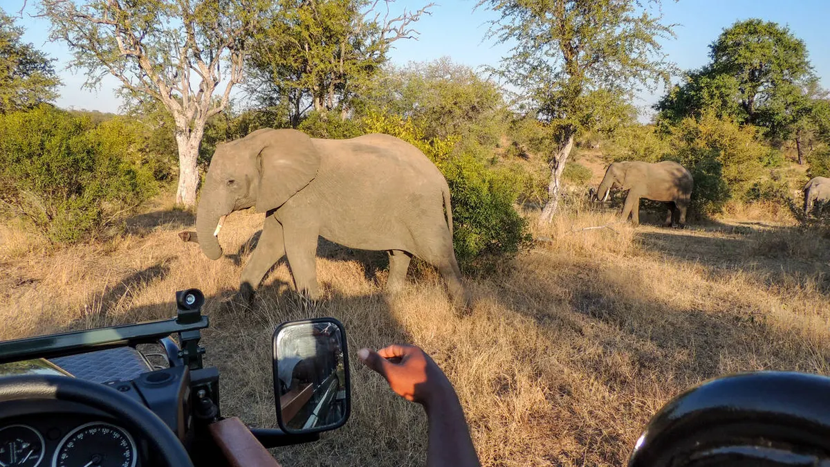 The Ultimate South Africa Experience — hoofdfoto