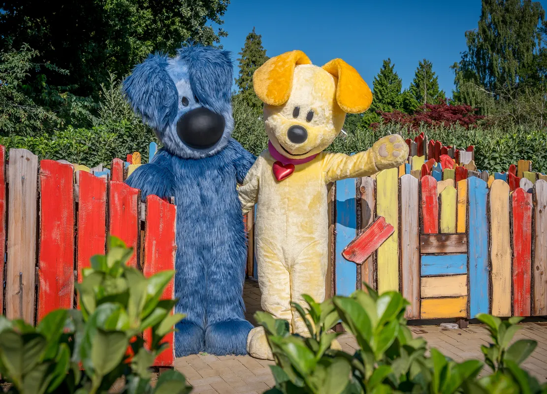 Camping De Tovertuin — hoofdfoto