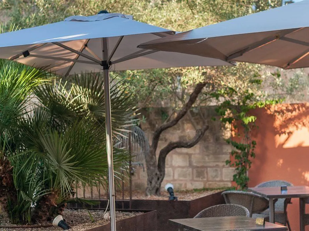 Alcudia Petit Hotel — hoofdfoto