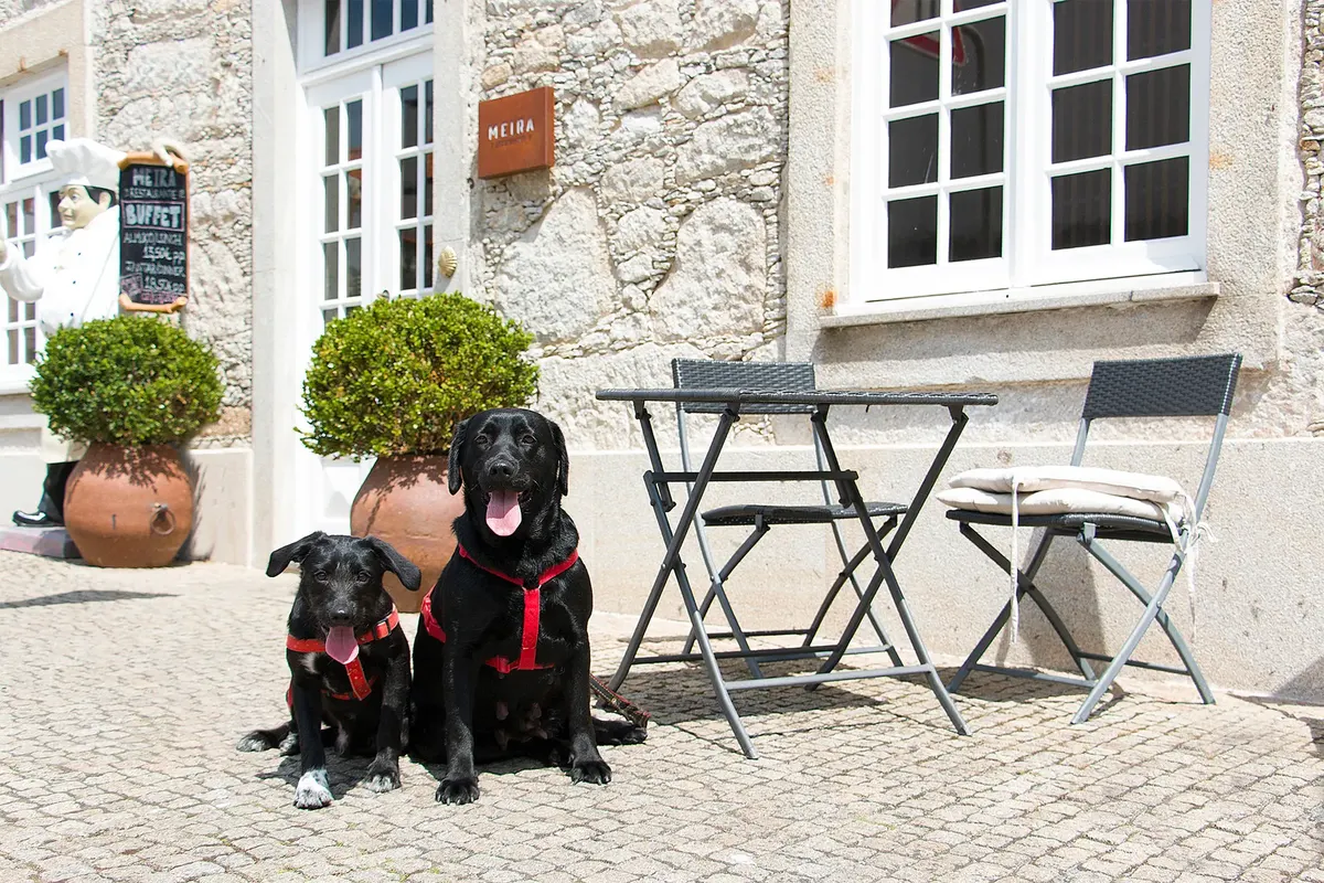 Hotel Meira — hoofdfoto