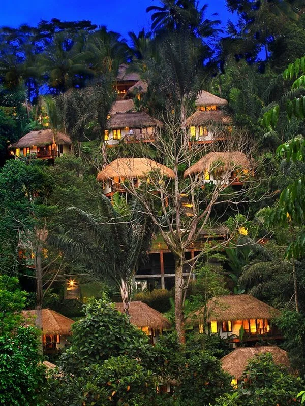Nandini Jungle by Hanging Gardens — hoofdfoto