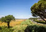 Camping hu Park Albatros Village foto 19