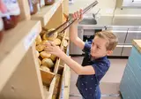 De Pallegarste foto 10