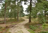 Landgoed De Uitkijk foto 29