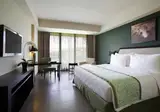 Swiss-Belhotel Rainforest foto 4