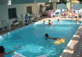 Artide foto 3