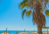 Grand Bahama Beach foto 20
