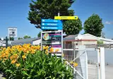 Les Ecureuils foto 21
