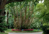 Parco Dei Principi foto 1