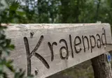 Vakantiepark Westerbergen foto 45