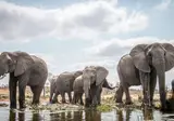 Het Beste van het Zuiden: Wijn- en Tuinroute foto 9