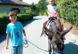 Relais Du Léman foto 5