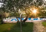 Masseria degli Ulivi foto 2