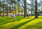 Hoge Kempen foto 18