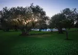Masseria degli Ulivi foto 28