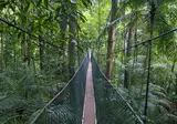 Explore Magnificent Malaysia foto 3