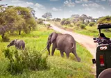 13 daagse safari Tsavo & Taita foto 3