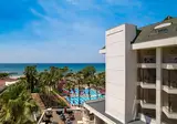 Trendy Palm Beach foto 16