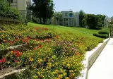 Robinson Club Pamfilya foto 20