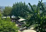 Tropical Beach Hotel foto 20