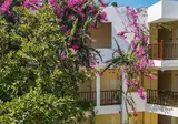 Natur Garden Hotel foto 16