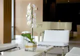 Kalidria Hotel & Thalasso Spa foto 24