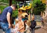 TopParken Landgoed de Scheleberg foto 23
