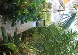 Villa Nefeli foto 9