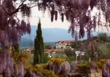 Vinifera Vineyards Hotel foto 27
