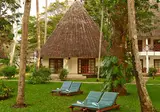 Neptune Village Beach Resort & Spa foto 17