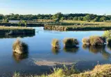 Camping Bassin D Arcachon foto 18
