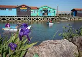 Les Pins D Oléron foto 16