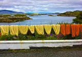 Highlands en Hebriden foto 25