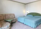 Kaktus Albir foto 20