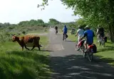 Fietscruise Zuid-Holland en omgeving foto 17