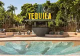 Bahia Principe Escape Tequila foto 5