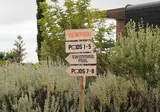 Calheta Glamping Pods foto 7