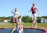 Camping Dal Van De Mosbeek foto 4