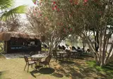 Selectum Family Resort foto 40
