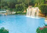 Walt Disney World Swan foto 29