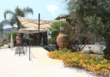 Villa Enrica foto 13