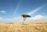 Perfect Match Kenya and Tanzania foto 6