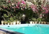 Axil Hotel foto 2