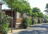 Camping Resort Els Pins foto 8