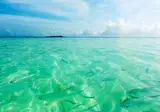 Fihalhohi Maldives foto 16