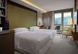 Sheraton Grand Tbilisi Metechi Palace foto 17