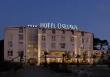 Hotel Osejava foto 10